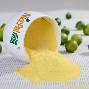 Manufacturer Direct Supply Juice Ingredient Lime Juice Powder