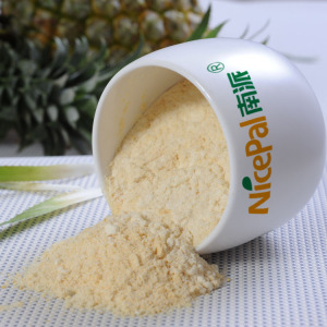 Non GMO Pineapple Fruit Powder with High Purity